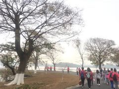 -松山湖南湖湾露营营地