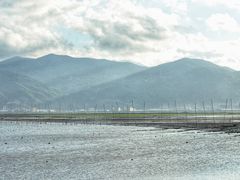 -北岐滩涂