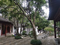 -秋霞圃