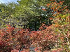 -广州市帽峰山景区