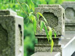 -同里国家湿地公园