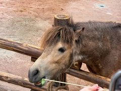 -福州罗源湾海洋世界旅游区