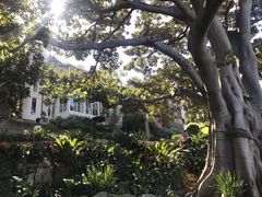 -悉尼歌剧院