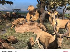 -国家自然博物馆