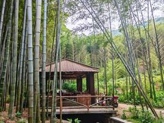 -宝岩生态观光园