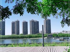 -长白岛森林公园