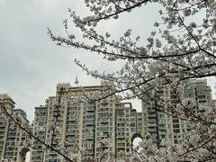 -西北湖绿化广场