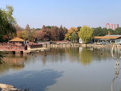 -无锡动物园·太湖欢乐园