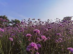 -钟山体育运动公园