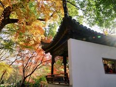 -秋霞圃