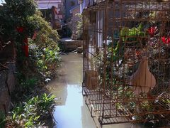 -小洲村