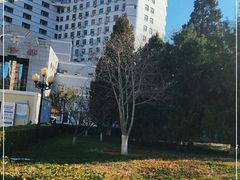 -北京中医药大学东方医院(方庄院区)