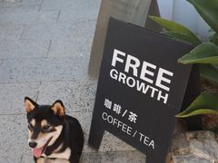 -自由生长植物工作室(深港花卉中心店)