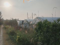 -菊园百果园