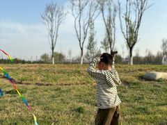 -汉长安城未央宫国家考古遗址公园