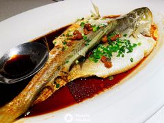 -维园悦谱·海派家常菜(乌鲁木齐南路店)