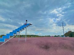 -嘉北郊野公园