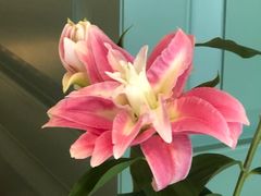 -南堂馆·新川菜(春熙路店)