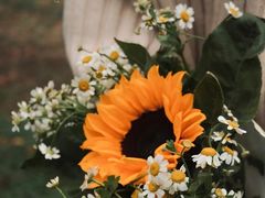 -蜀冈西峰生态公园