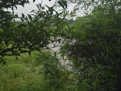 -金稼园·金平湖农家菜