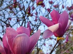 -华南国家植物园-售票处