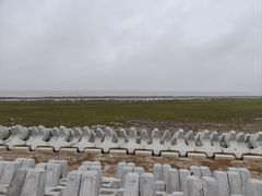 -南汇嘴观海公园