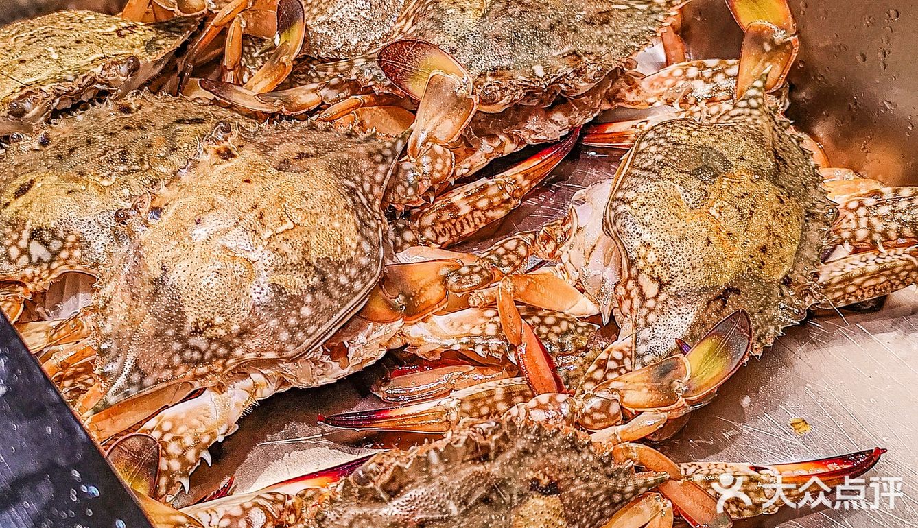 来广州看欧洲杯！就吃这家！