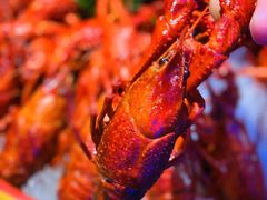 -虾乐园龙虾·夜宵(松江店)