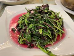 -新聚丰菜馆(太监弄店)