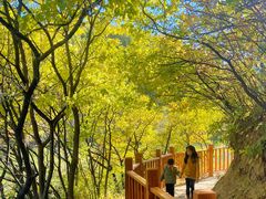 -玉渡山自然风景区