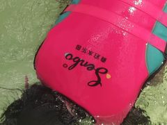 -杭州开元森泊度假乐园