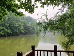 -青龙山国家森林公园