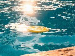 -爪吧宠物乐园 (温榆河示范区店)