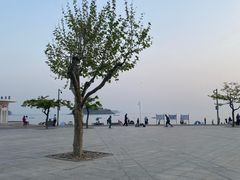 -傅家庄公园