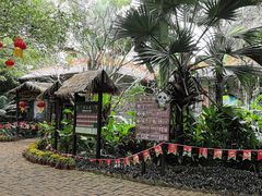 -海南热带野生动植物园