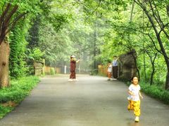 -日照海滨国家森林公园