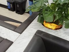 -上海仁爱医院