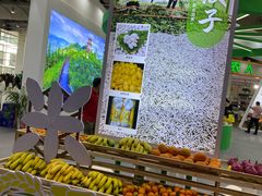 -南宁国际会展中心(会展东博文化旅游区)