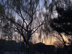 -南锣鼓巷