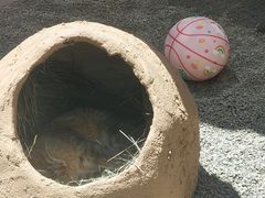 -青藏高原野生动物园