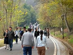 -南京市江宁方山