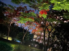 -三亚亚龙湾万豪度假酒店