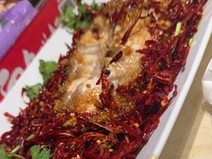 -杨氏青龙虾·羊蝎子(珠江路店)