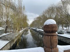 -元大都城垣遗址公园