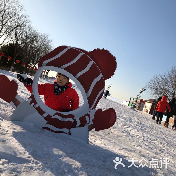 鲜花港七色光戏雪乐园图片-北京滑雪-大众点评网