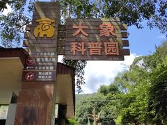 -野象谷景区