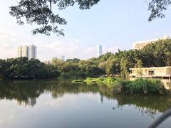 -人民公园(罗湖区)