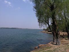 -丁香湖公园