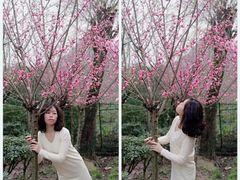 -贵阳市花溪国家城市湿地公园