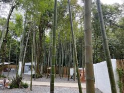 -长沙小顽国景区